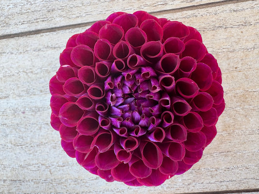 Ball Maroon